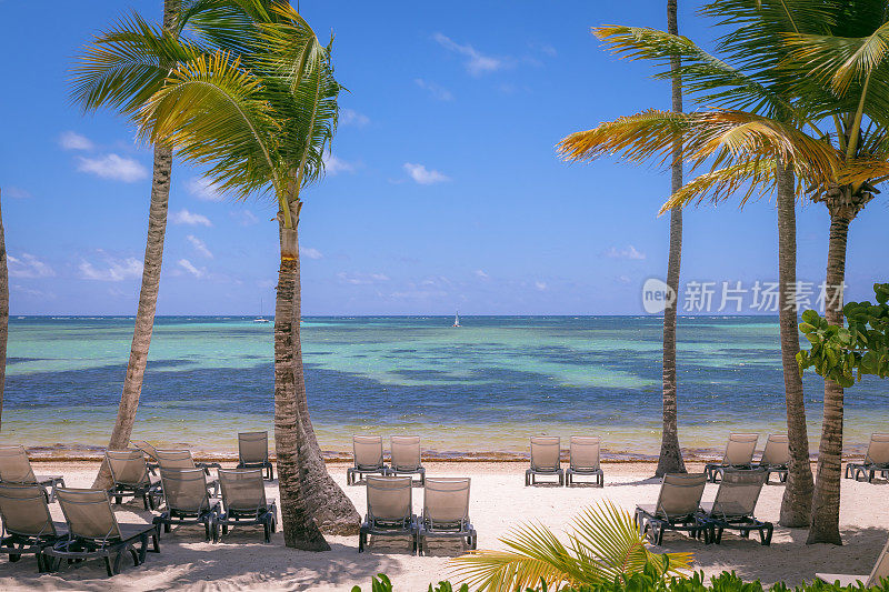 沙滩椅子下的棕榈树在Saona - Punta Cana，蓝绿色的加勒比海